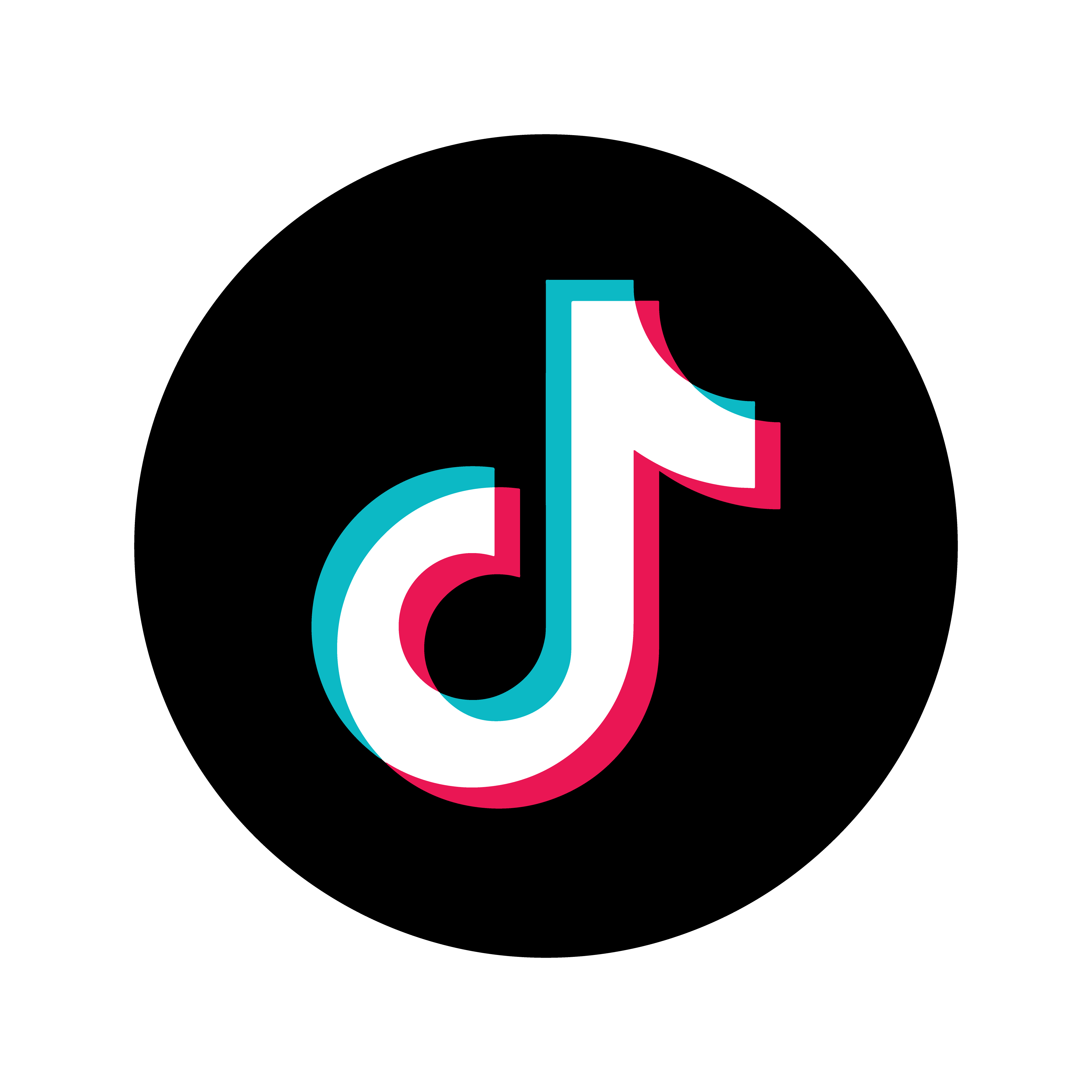 TikTok Logo